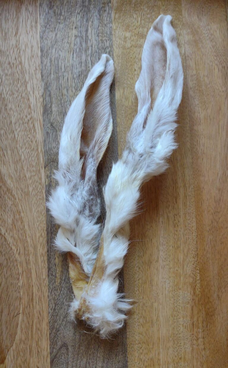 Konijnenoren met Haar