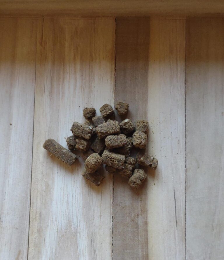 Vleestrainer Mini Tonijn